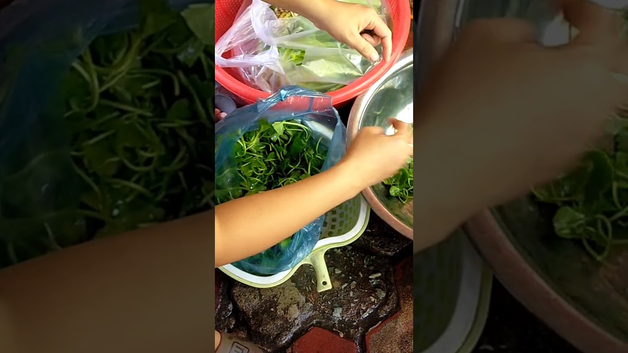 Chuẩn bị nguyên liệu nấu ăn