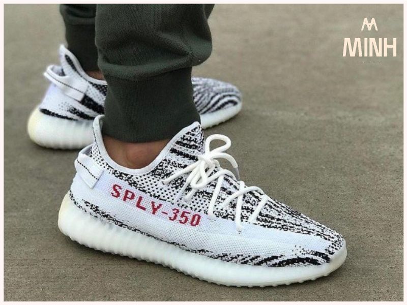 Đo kích cỡ giày sneaker