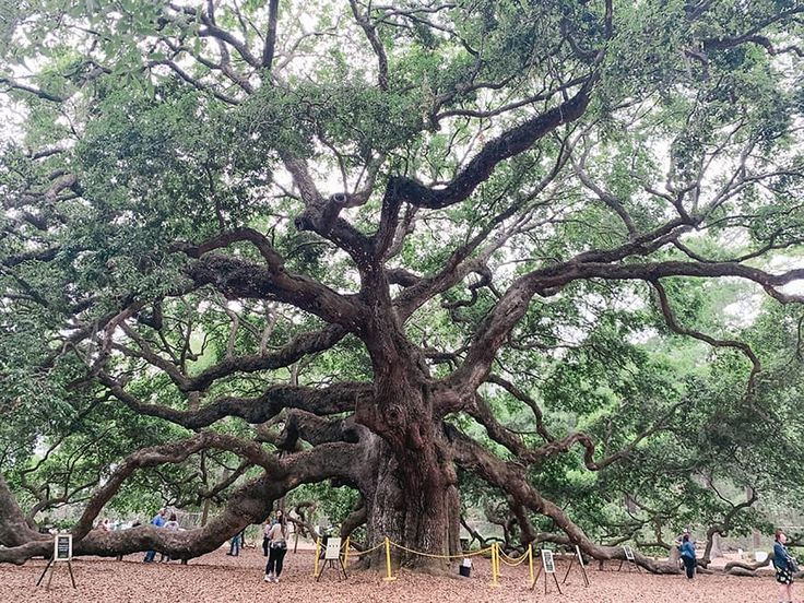 Trang trí nhà cửa tiết kiệm