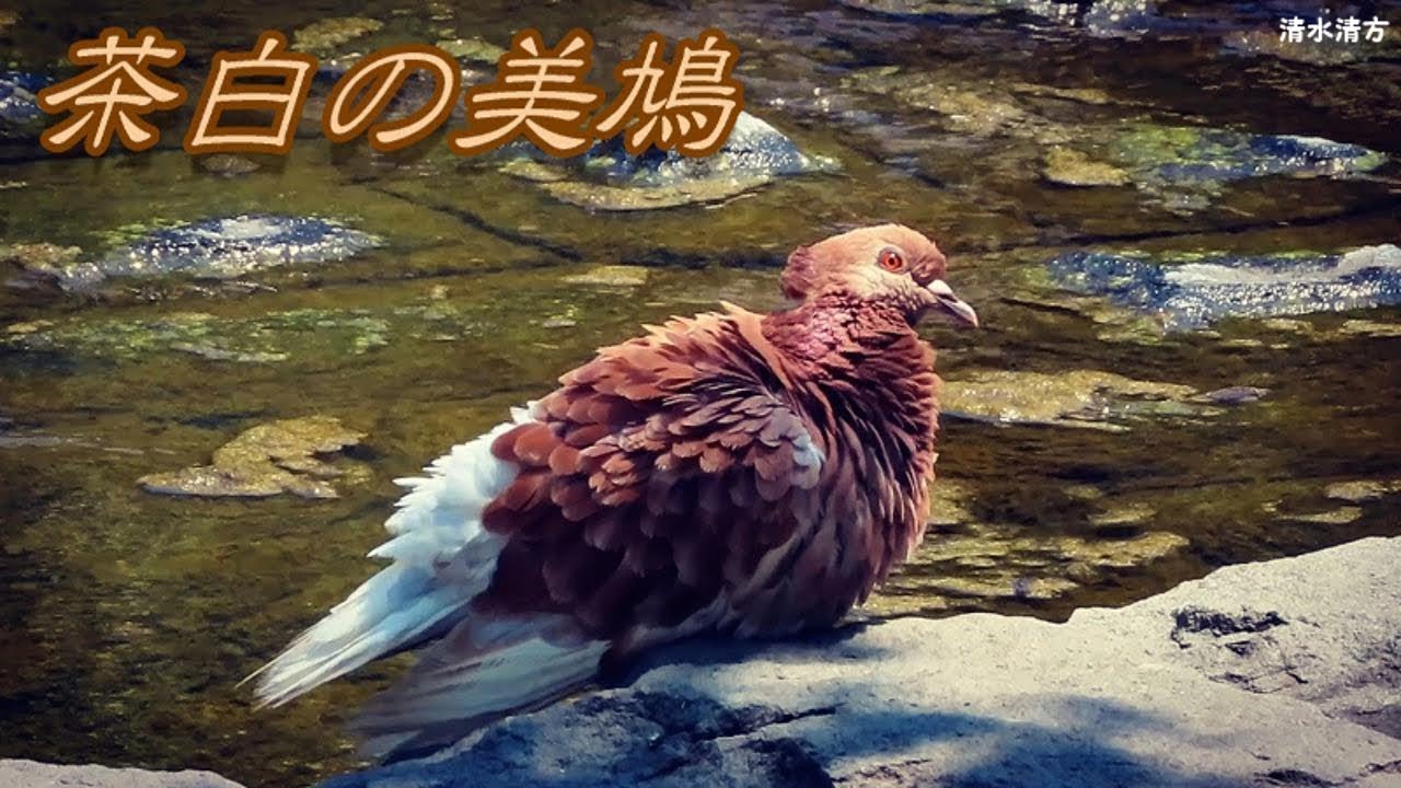 Đồ thủ công Việt Nam
