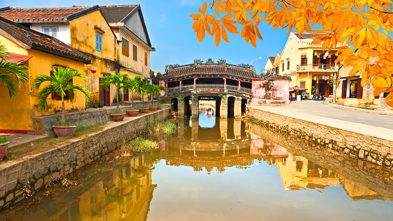 Sơ mi và quần suông