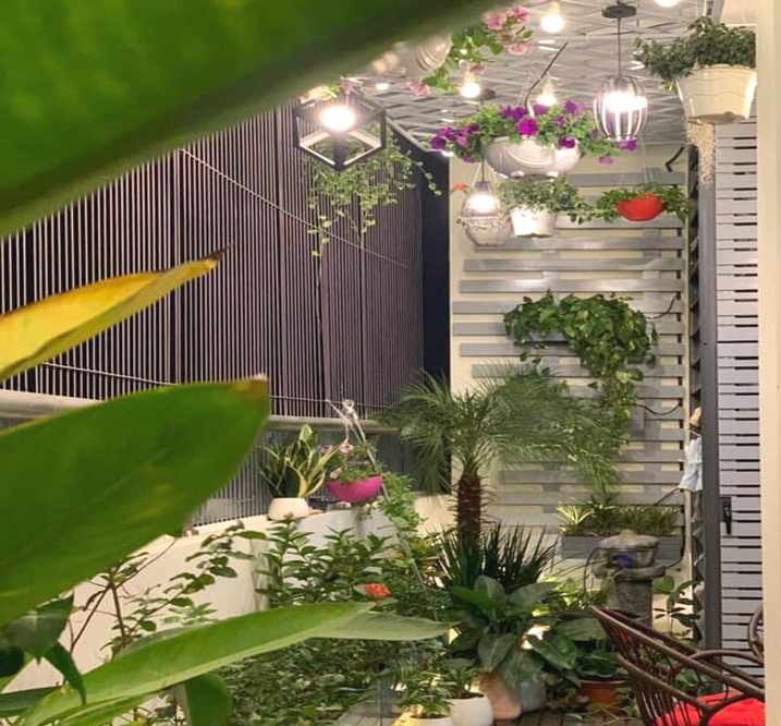 Ánh sáng tự nhiên chiếu vào căn hộ qua ban công