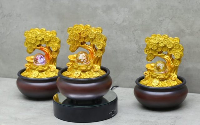 Kim tiền cây lọc không khí và phong thủy