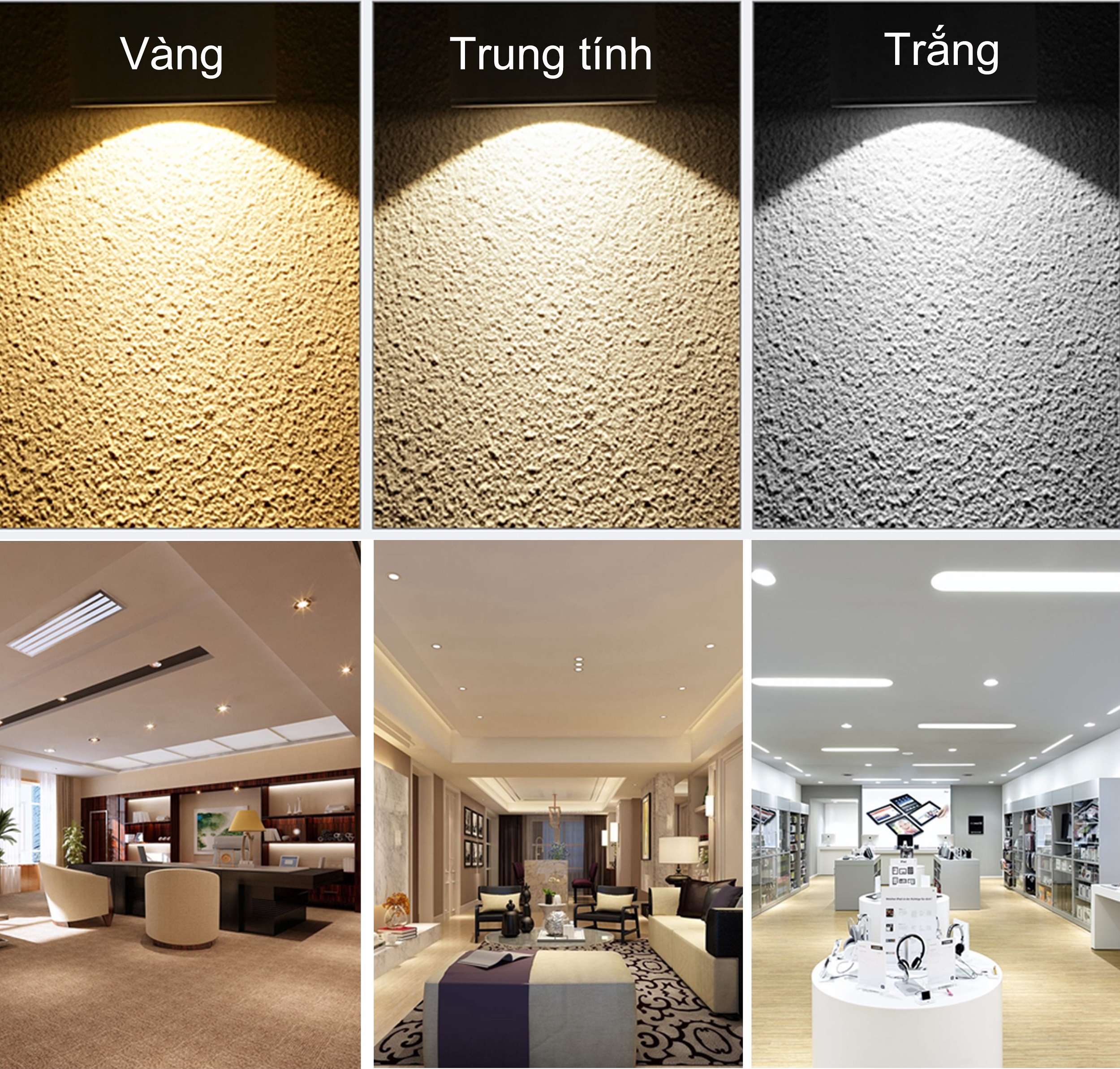 Phối màu sáng và nền trung tính