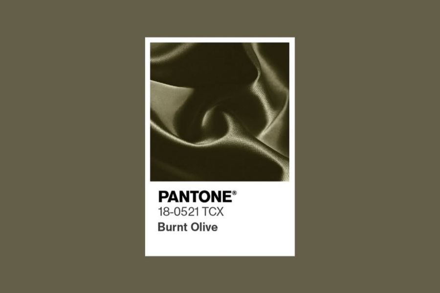 Burnt Olive - Xanh olive cháy tinh tế kết hợp giữa thiên nhiên và hiện đại