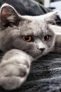 Mẹo phối đồ theo môi trường làm việc