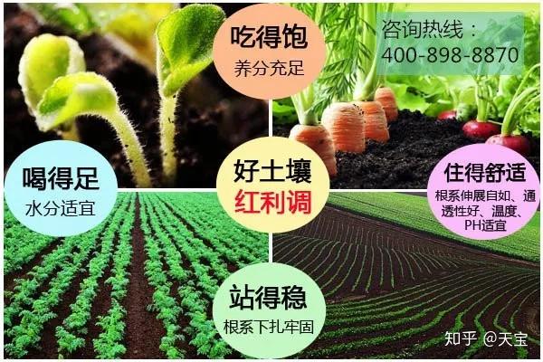 Nấu ăn tại nhà giúp kiểm soát dinh dưỡng