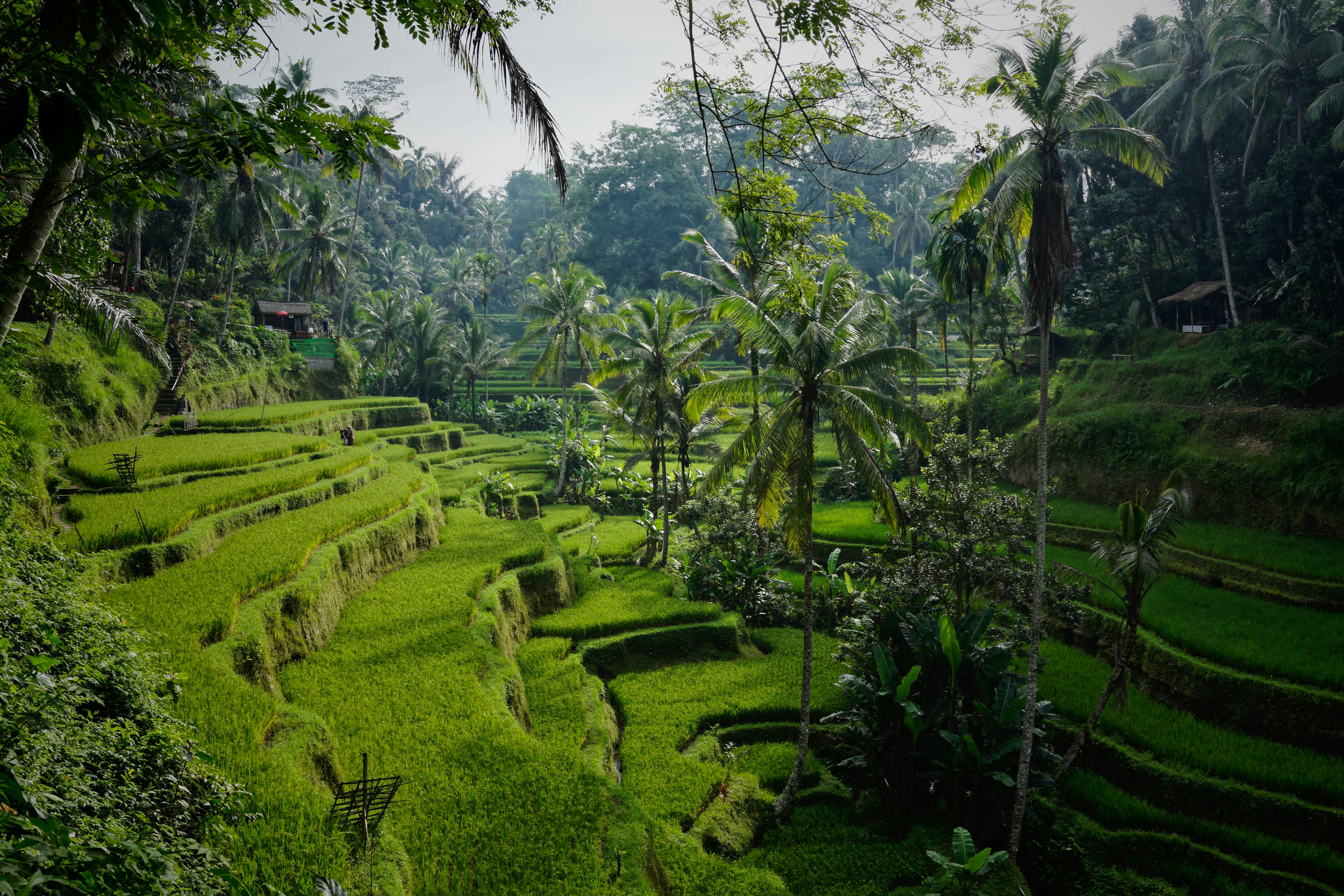 Bãi biển Mũi Né