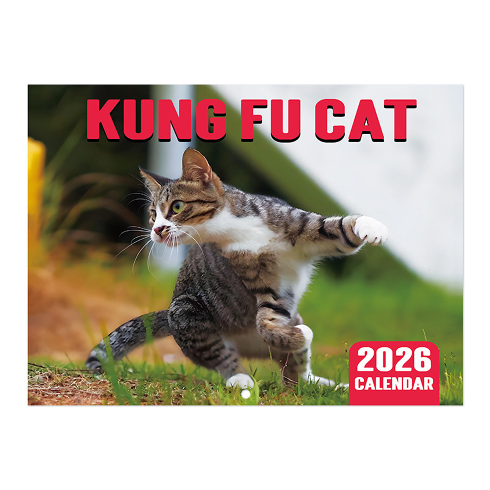 Căn hộ chung cư hiện đại