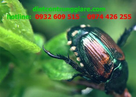 Kiểm soát pháp lý giao dịch