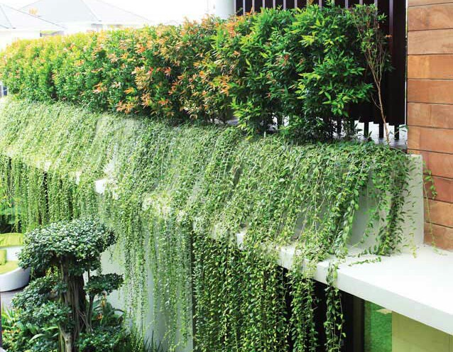 Cây xanh làm mềm không gian