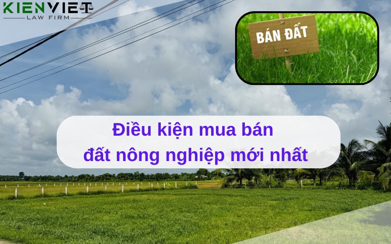 Kiểm tra loại đất