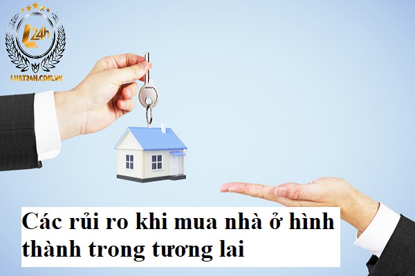 Người mua trao đổi hồ sơ dự án