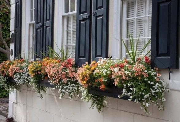 Cây xanh, lớp đệm và những lỗi thường gặp khi áp dụng