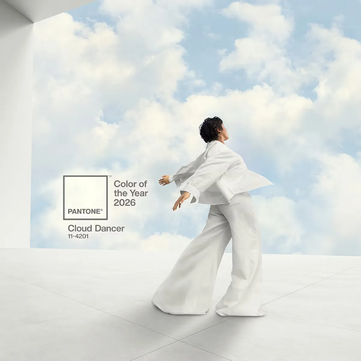 Ý nghĩa thanh lọc thị giác của màu Cloud Dancer