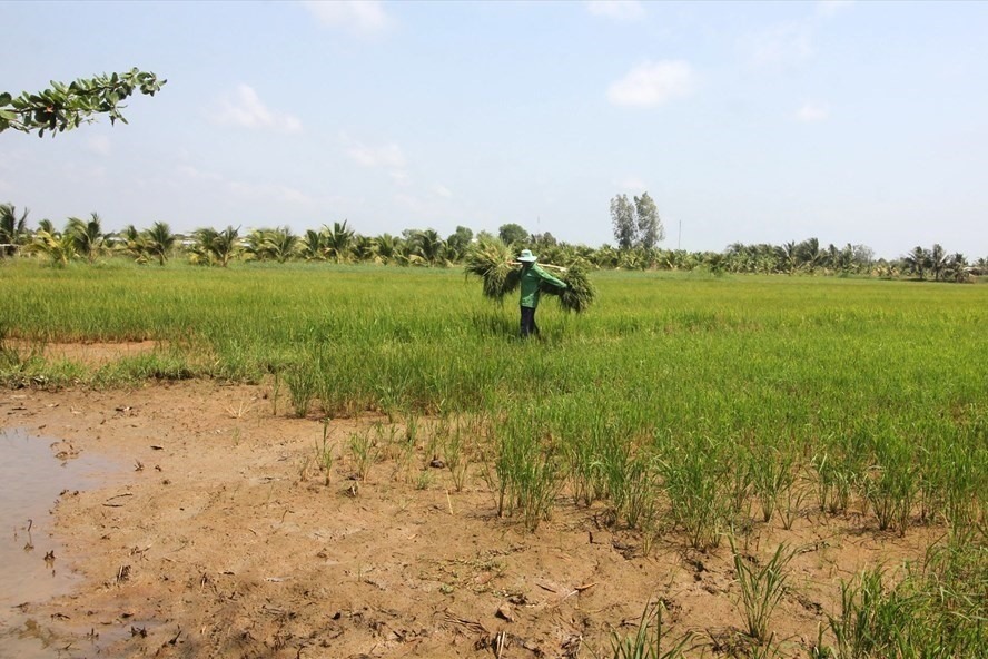 Rủi ro pháp lý đất