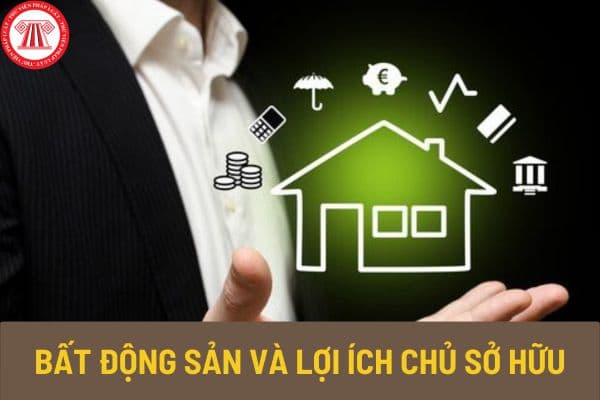 Cơ cấu sở hữu doanh nghiệp