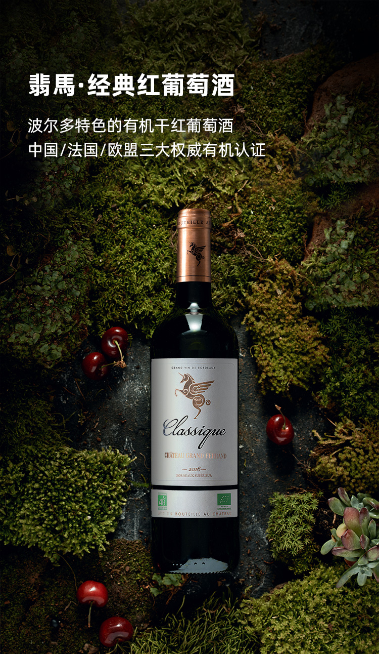 Cánh đồng nho xanh mướt ở Bordeaux