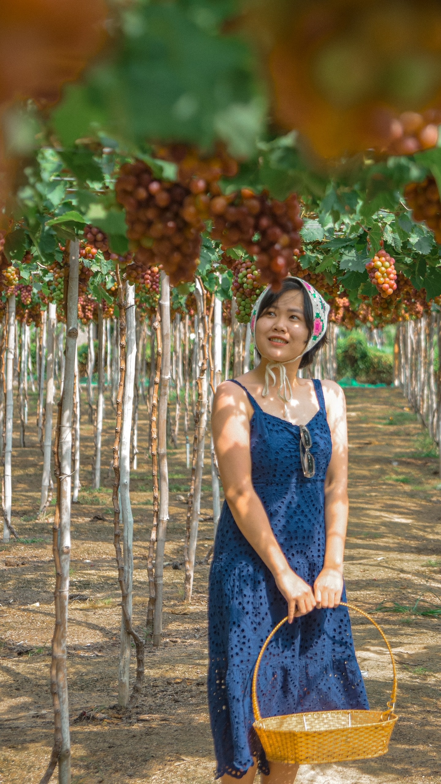 Chọn phân khúc phù hợp