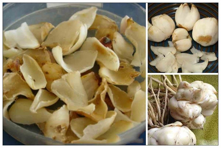 Hợp đồng mua bán căn hộ chung cư mẫu