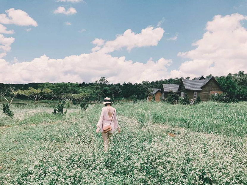 Đà Lạt mùa hoa cánh tiên