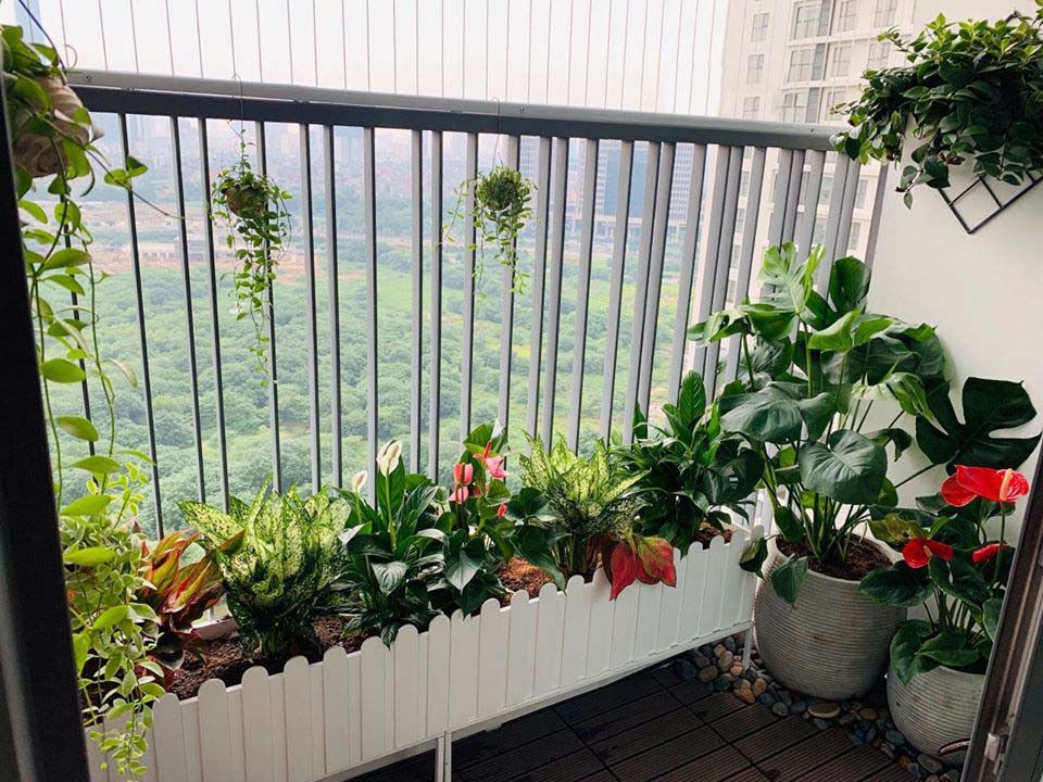 Ban công chung cư hướng Nam với cửa kính lớn