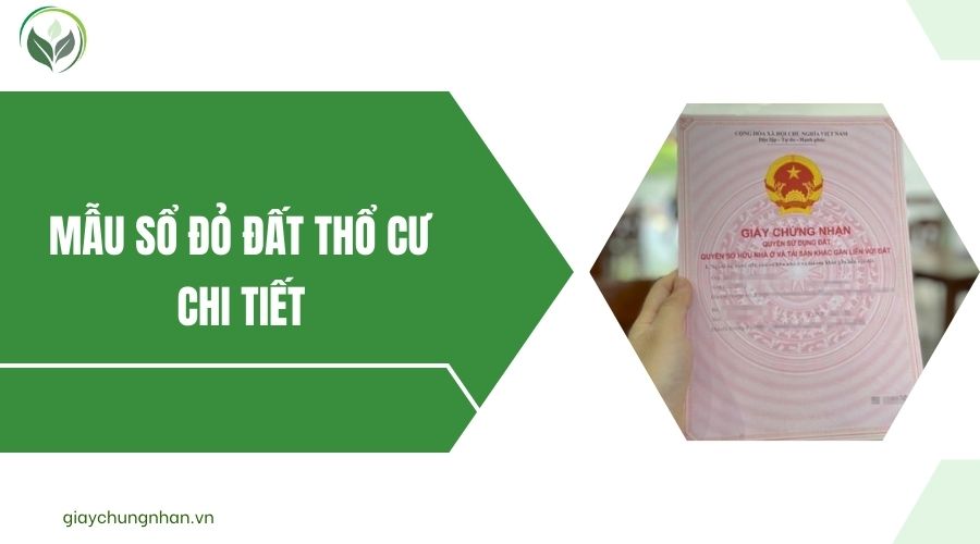 Sổ đỏ nhiều người đứng tên