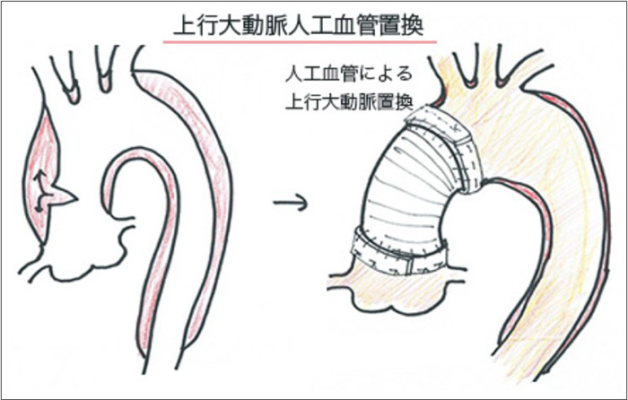 Hệ thống giao thông Hà Nội