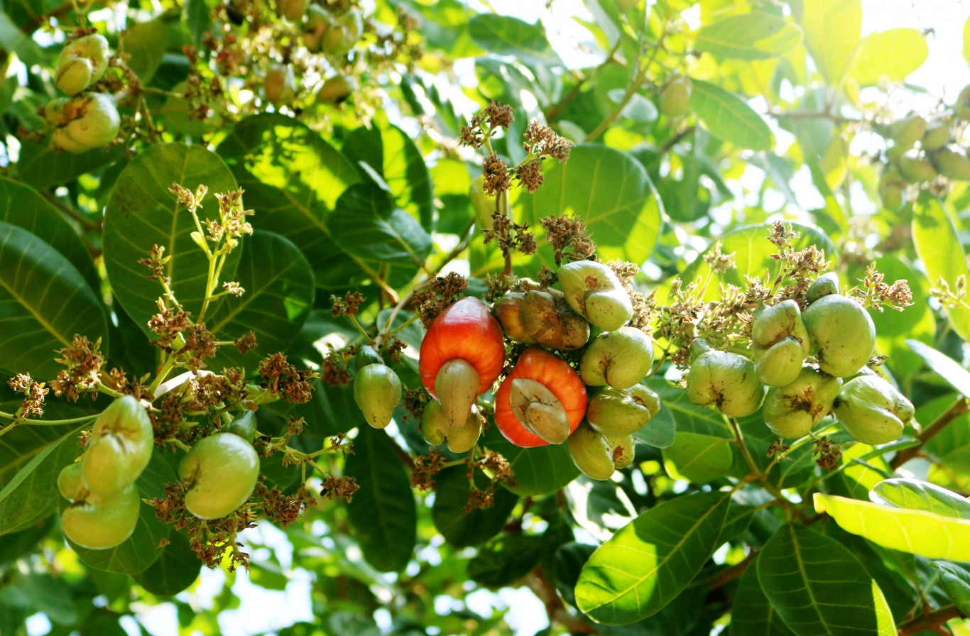 Điều kiện sang tên sổ hồng