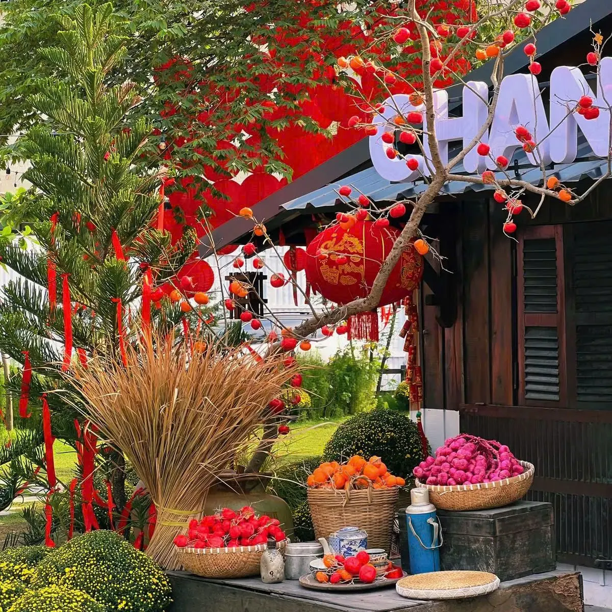 Chang Dao trang trí Tết hoài cổ