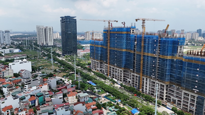 Biểu đồ giá căn hộ 2025