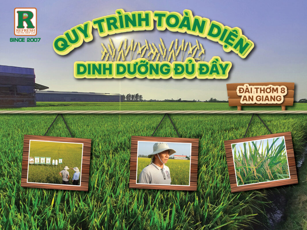 Quy trình giải chấp căn hộ
