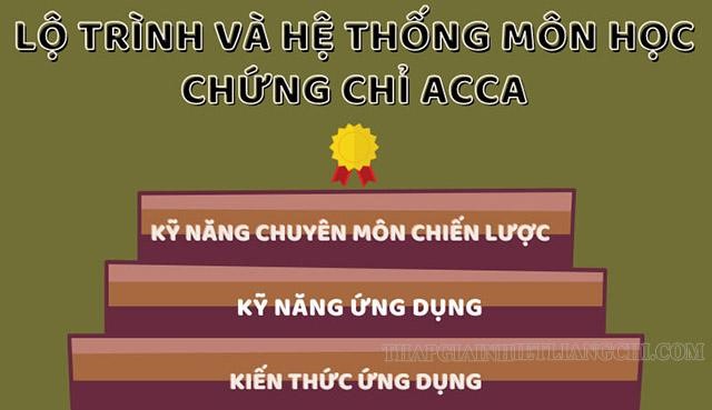 Luyện đề ACCA F3