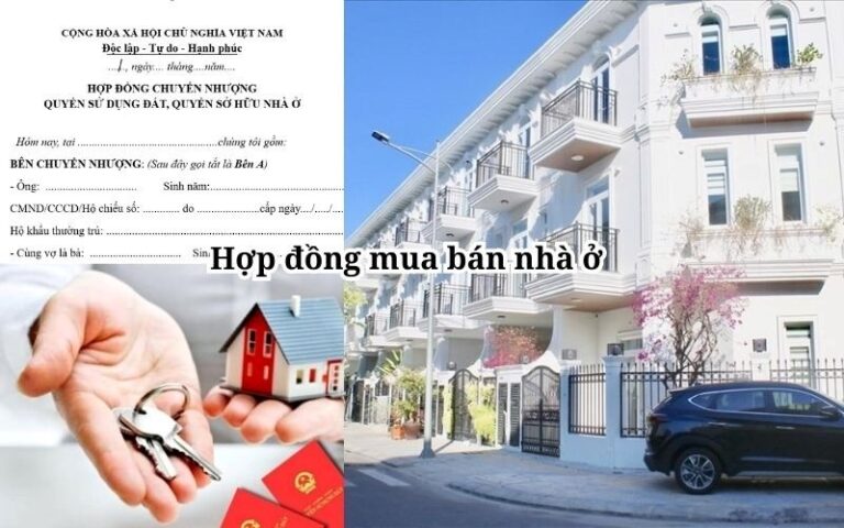 Ảnh người xem hồ sơ nhà