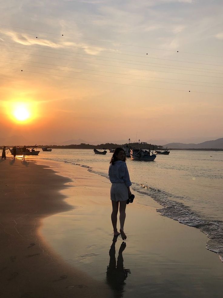 Nhà đầu tư đang xem xét báo cáo tài chính của dự án