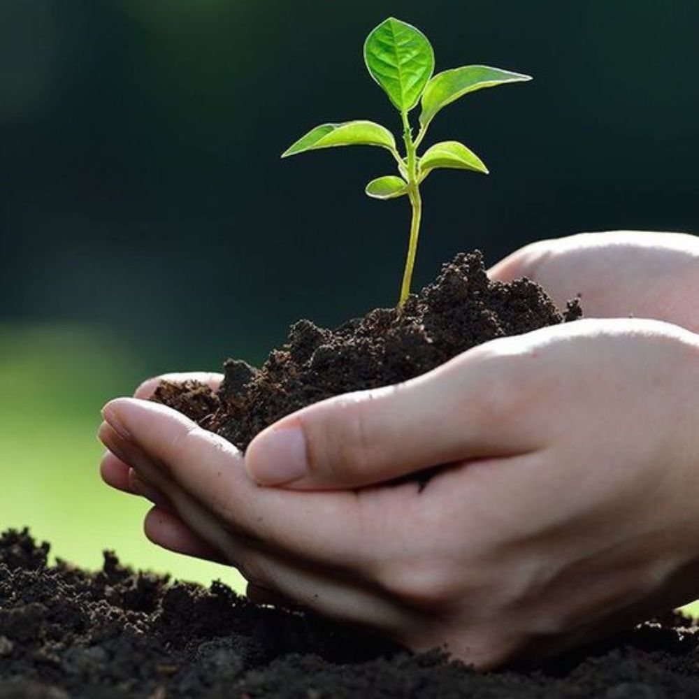 Bất động sản chăm sóc sức khỏe tại Việt Nam