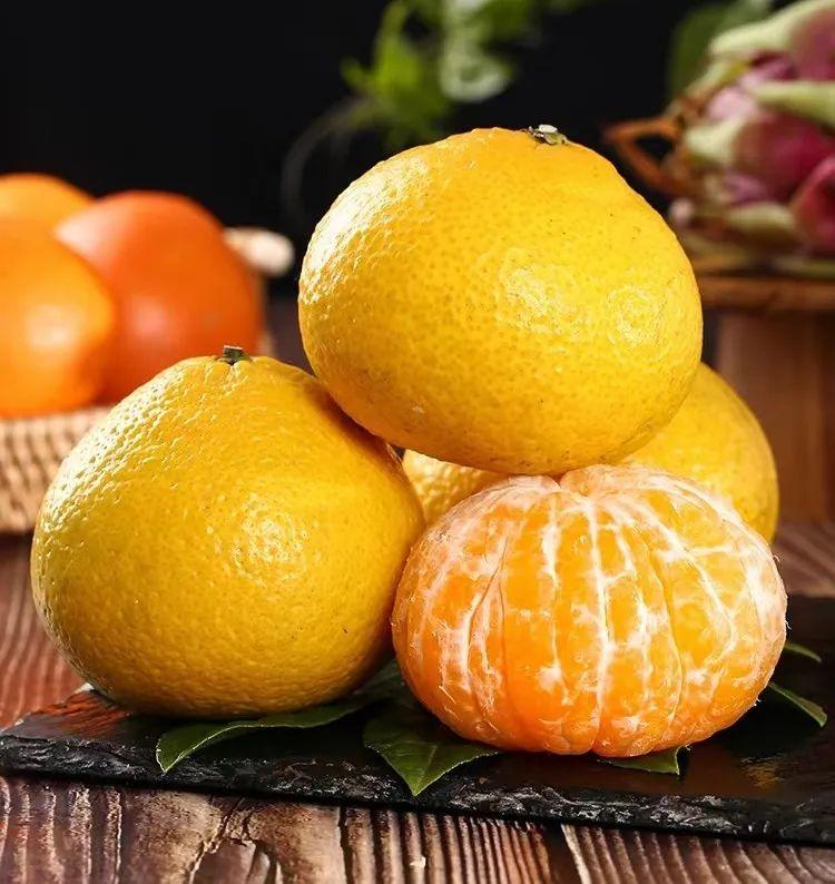 Bữa trưa văn phòng cân bằng