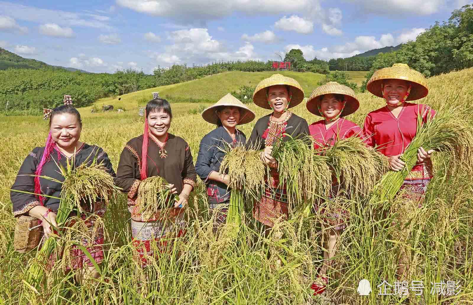 Trang phục công sở nữ với thiết kế hiện đại và công nghệ vải