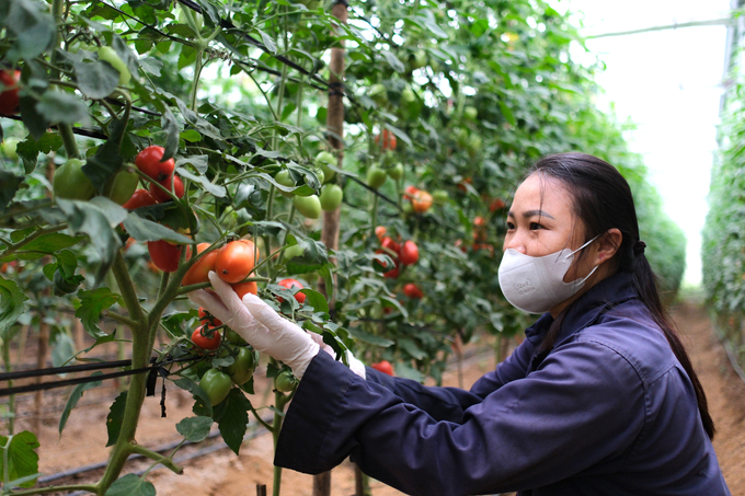 Lộ trình học tập và phát triển sự nghiệp AI