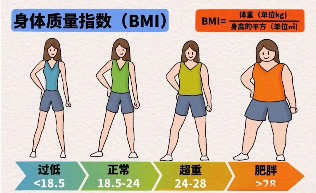 Sơ đồ tính BMI