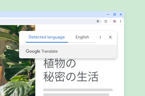 Dịch trang web và nội dung trên màn hình giúp đọc tài liệu nước ngoài liền mạch hơn