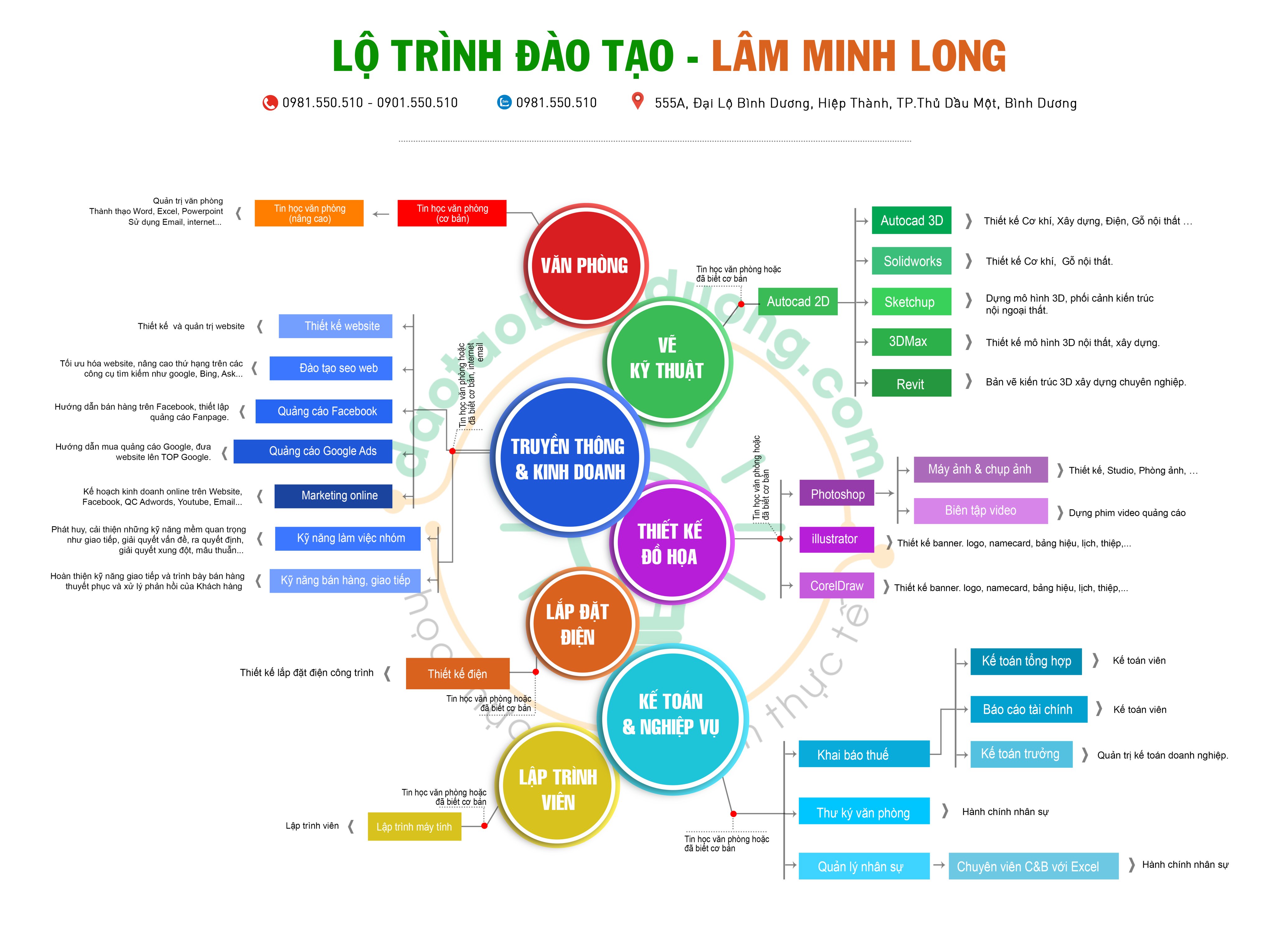 Ảnh về lộ trình học tiếng Anh cho sinh viên đại học