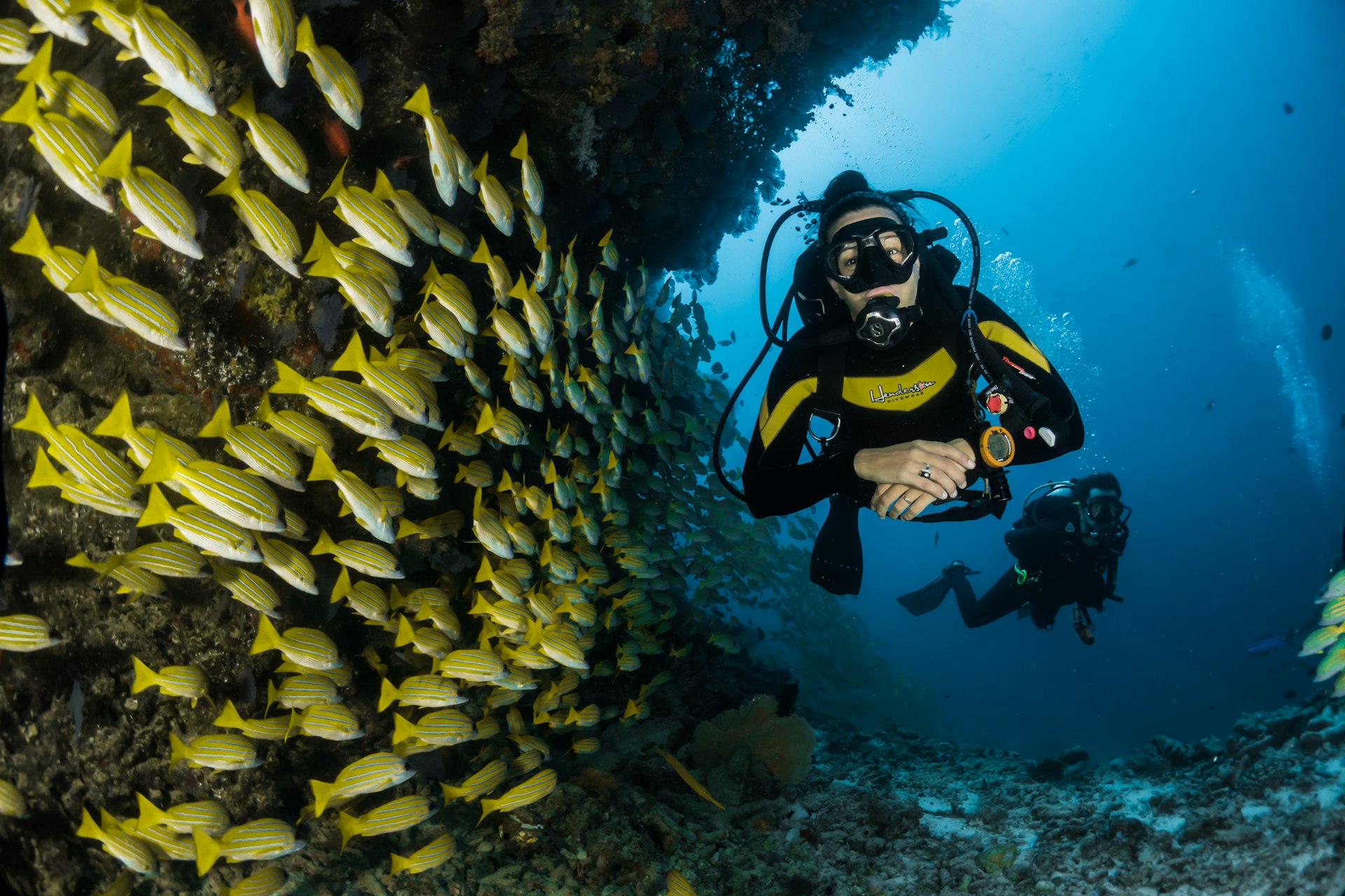 Finding Nemo phim hoạt hình học tiếng Anh