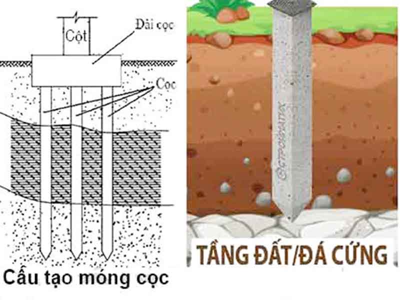 Người học đang làm việc nhóm và tự học
