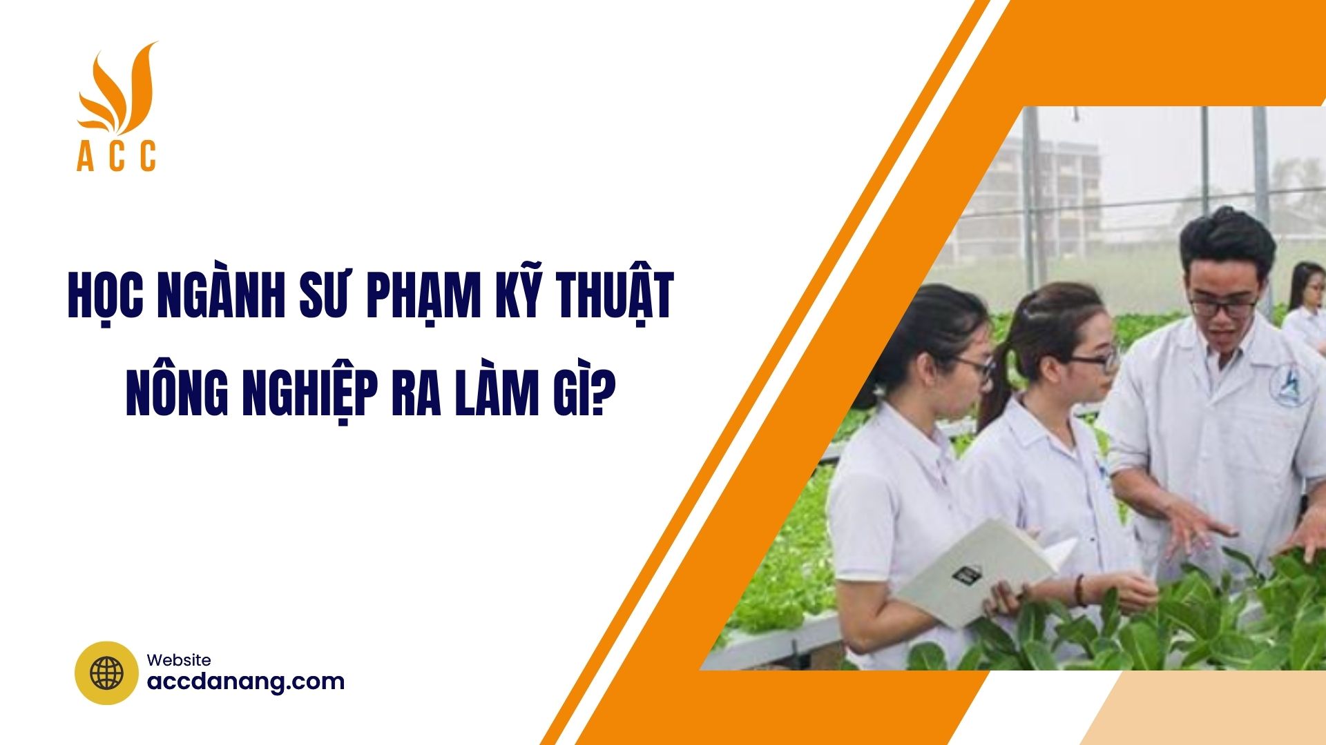 Sinh viên học mỹ thuật