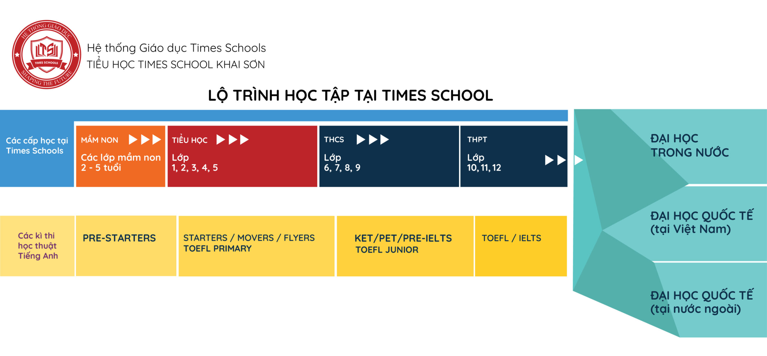 Lộ trình học từ vựng 4 bước