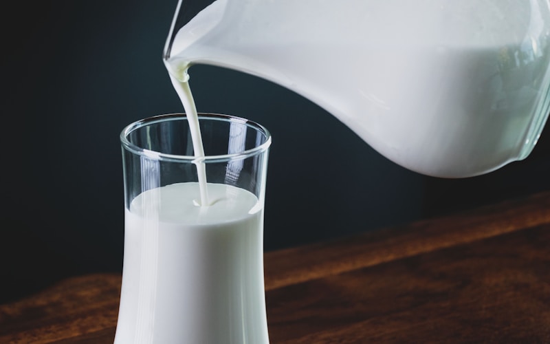 Các loại sữa chua men sống và vi khuẩn probiotic
