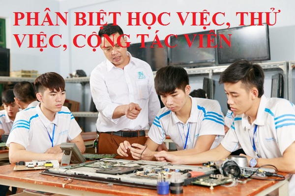 Phân loại việc học quan trọng