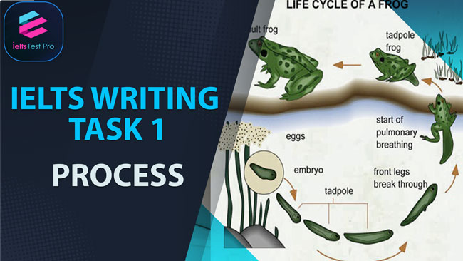 Quy trình tự học IELTS Writing