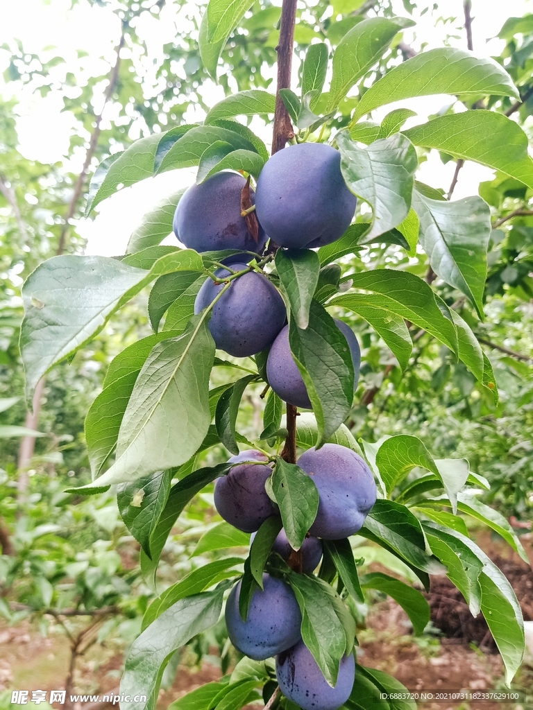 So sánh phương pháp học Địa lý truyền thống và hiện đại